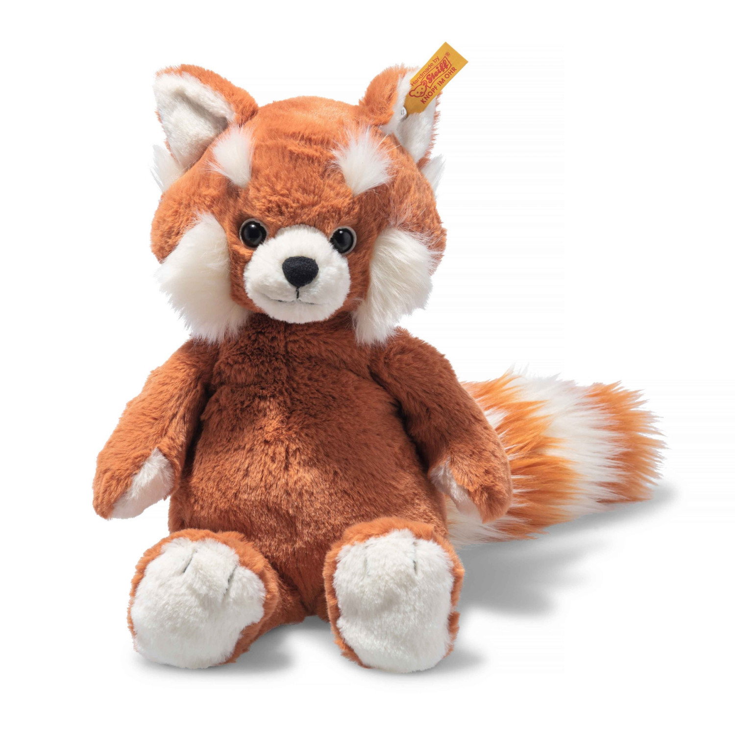 Benji red panda