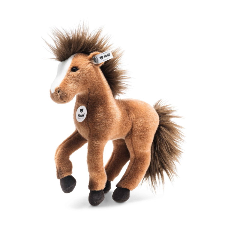 Chayenne horse