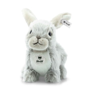 Dormili rabbit