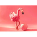 Jill flamingo pink