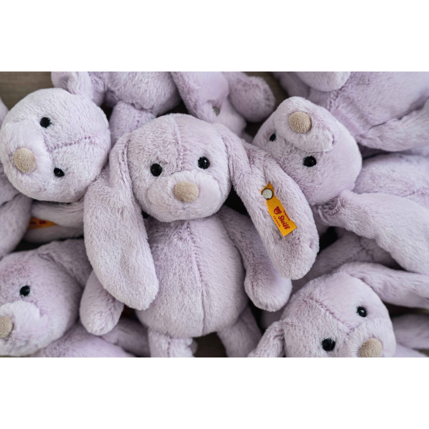 Tilda rabbit