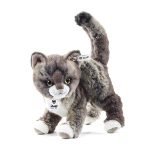Kitty cat